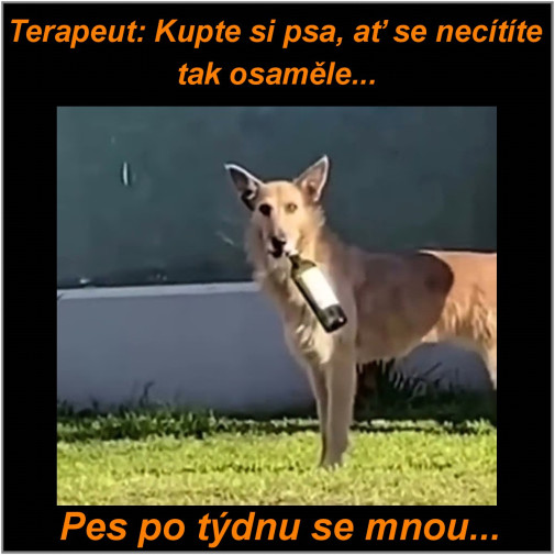 Psychoterapeutický Dunčo